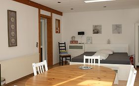 Gemütliches großzügiges Apartment